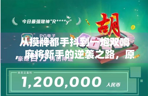 从摸牌都手抖到一炮双响,麻将新手的逆袭之路,原来胡牌真的有技巧! 从摸牌都手抖到一炮双响,麻将新手的逆袭之路,原来胡牌真的有技巧!