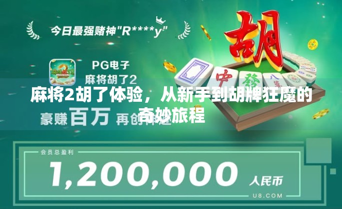 麻将2胡了体验,从新手到胡牌狂魔的奇妙旅程 麻将2胡了体验,从新手到胡牌狂魔的奇妙旅程